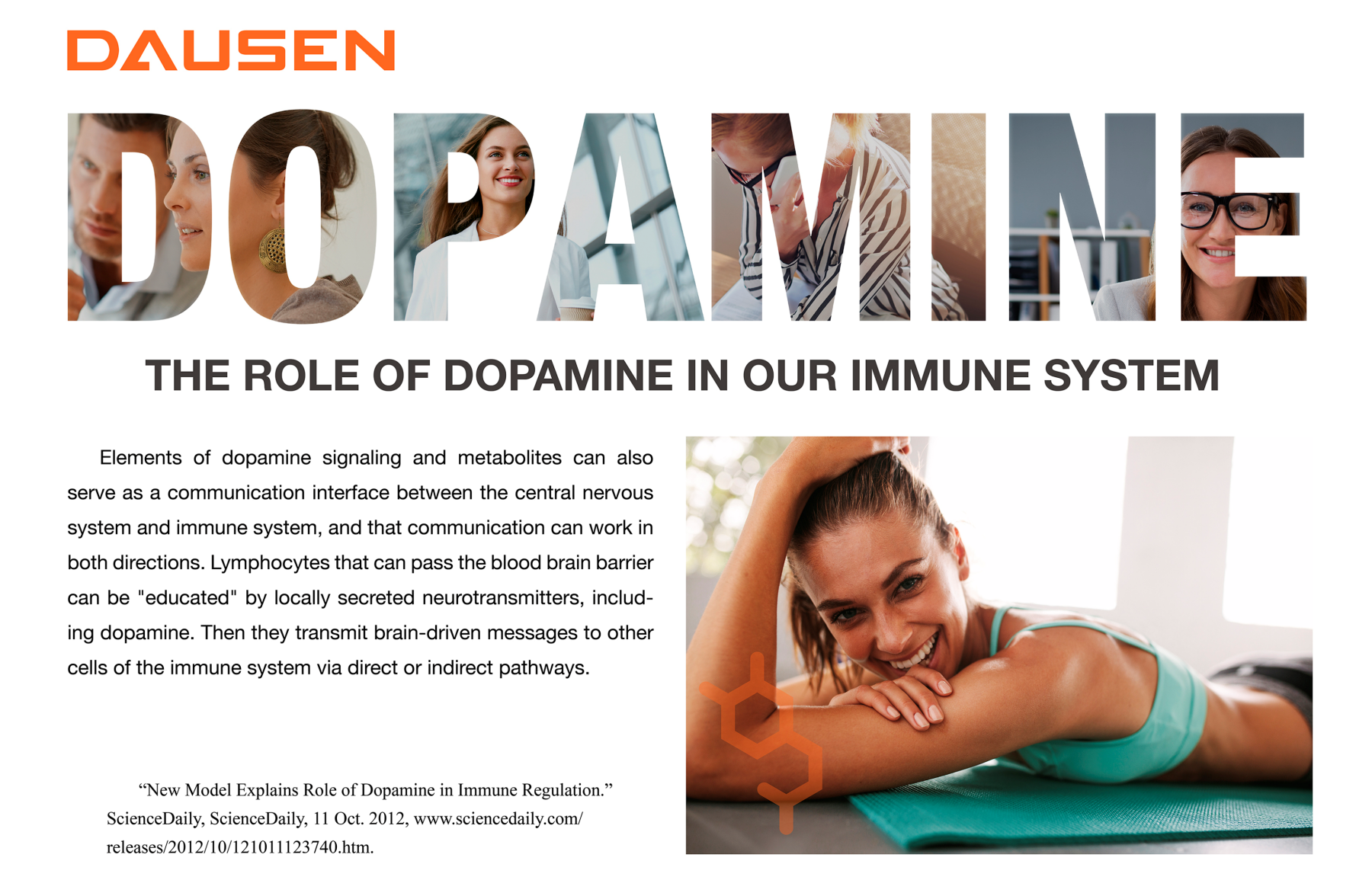 Dausen Luxury Mobile Phone Accessories