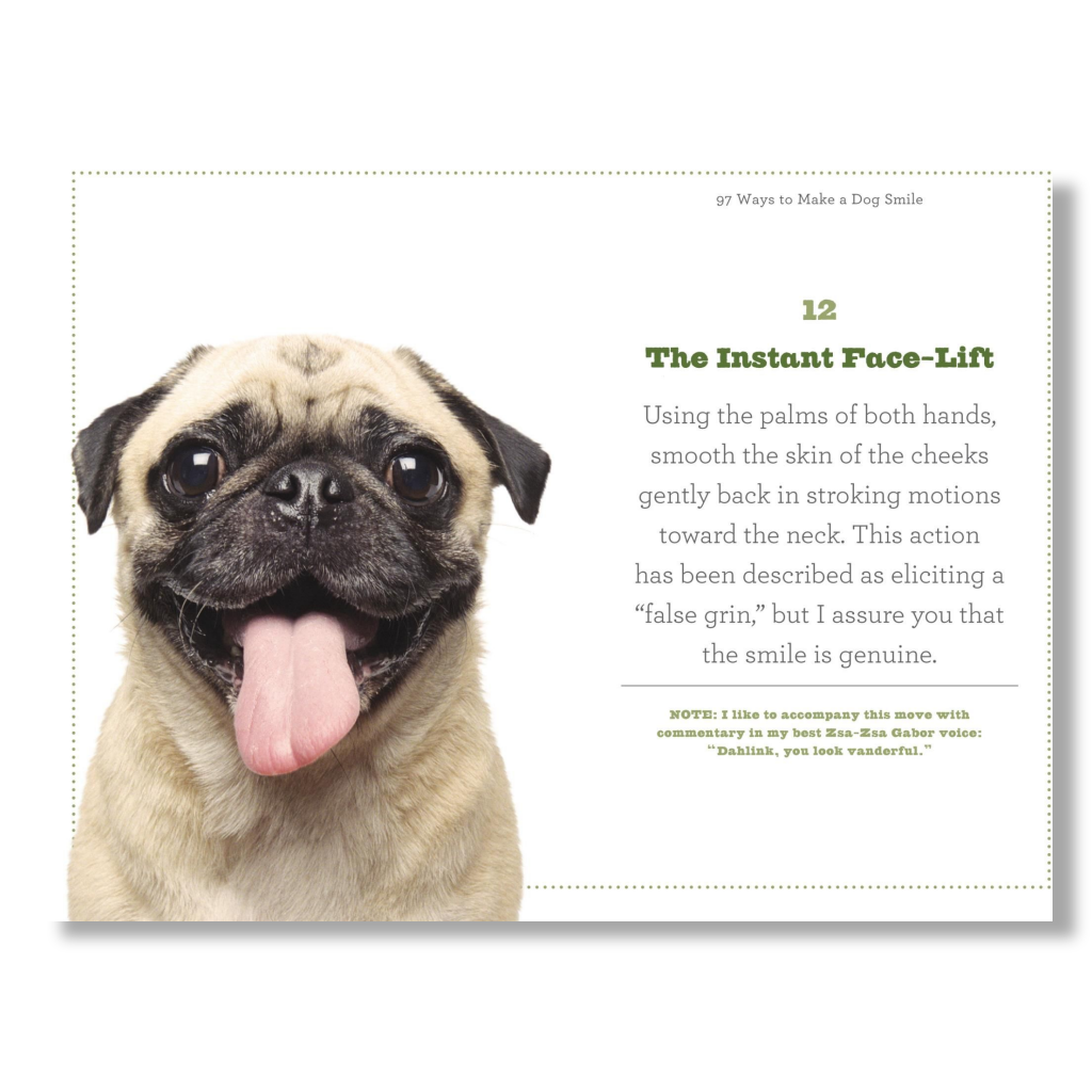 97 Ways to Make Your Dog Smile - B Cool 2