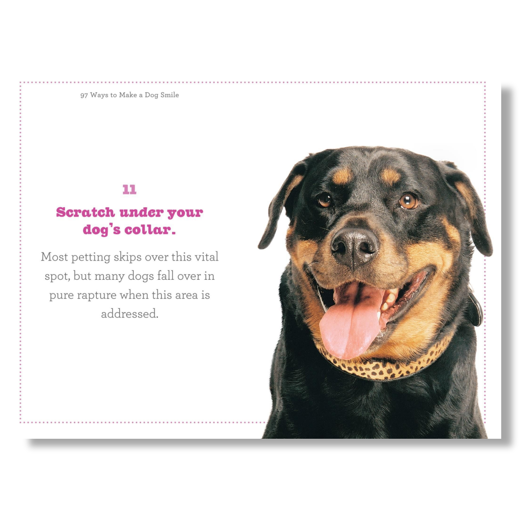 97 Ways to Make Your Dog Smile - B Cool 2