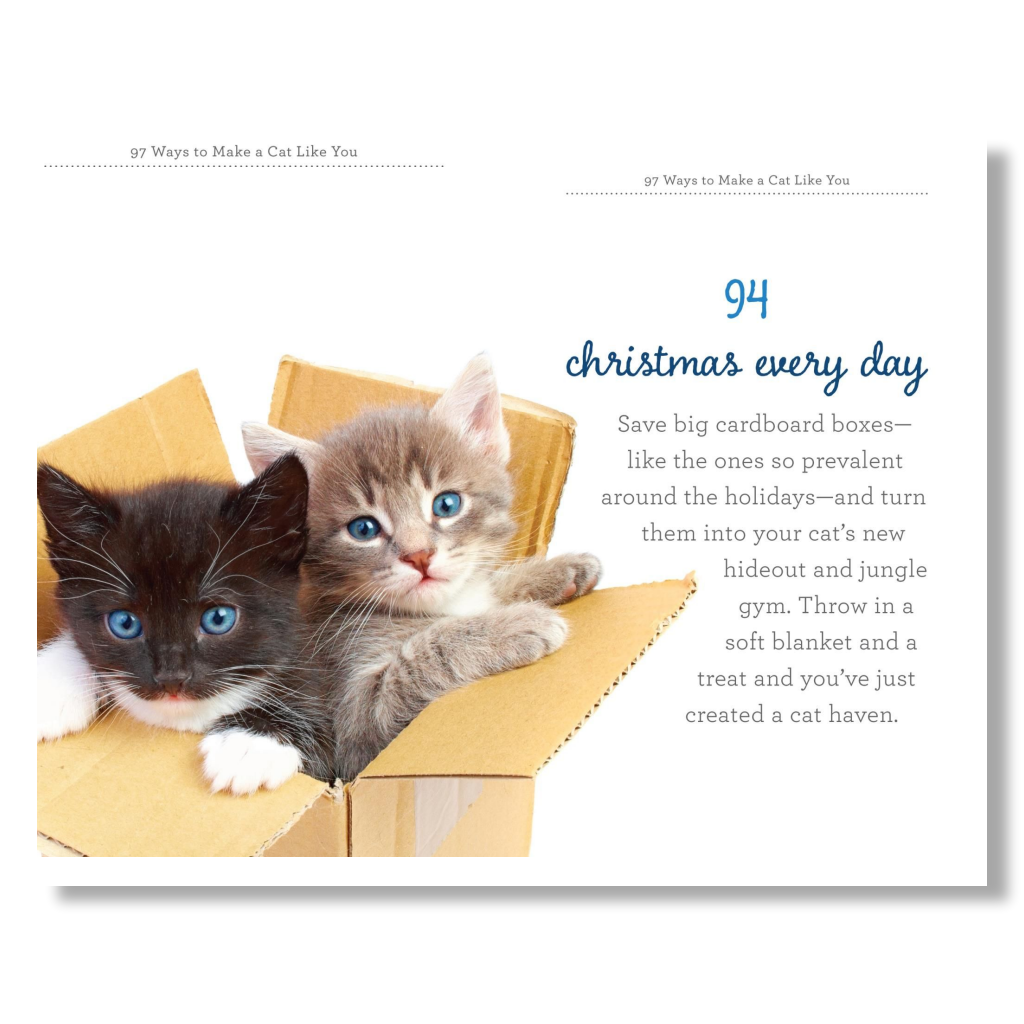 97 Ways to Make Your Cat Like You - B Cool 2